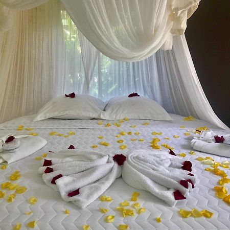 Eden Paradise Ecolodge & Spa Sainte-Luce Quarto foto