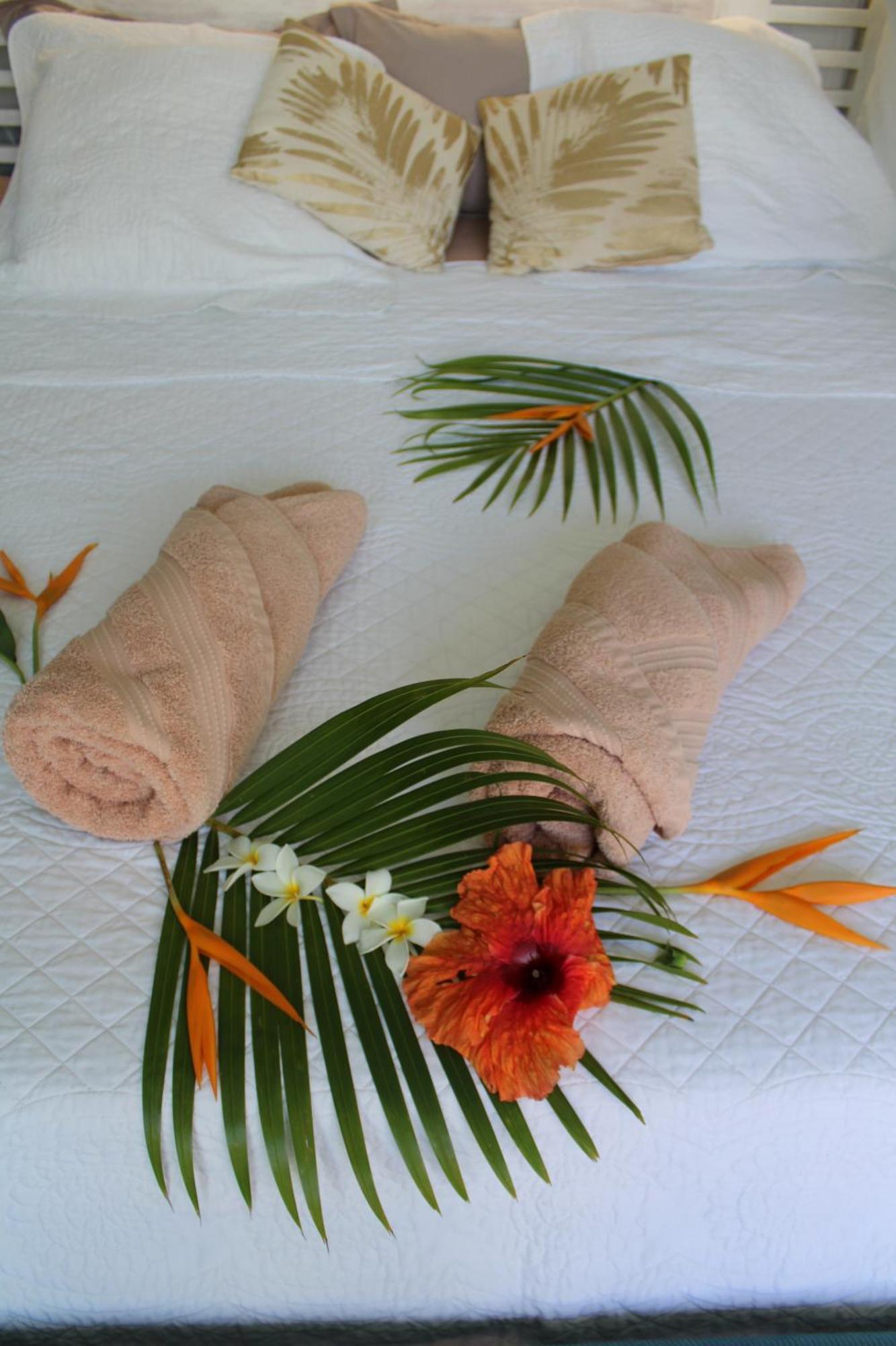 Eden Paradise Ecolodge & Spa Sainte-Luce Quarto foto